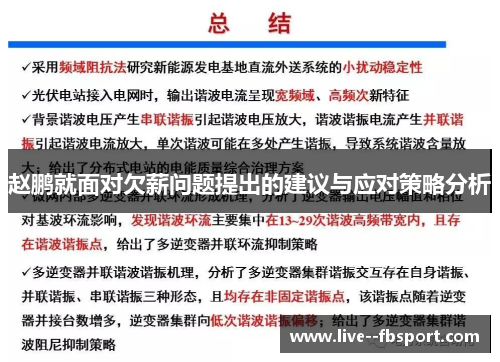 赵鹏就面对欠薪问题提出的建议与应对策略分析
