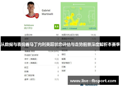 从数据与表现看马丁内利英超状态评估与走势前景深度解析本赛季